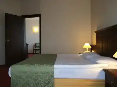 Palm D'or - 30