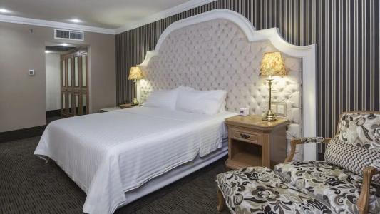 Holiday Inn Queretaro Centro Historico, An Ihg - 207