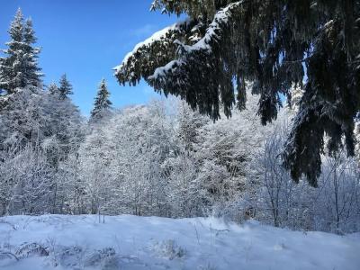 Panorama - 26