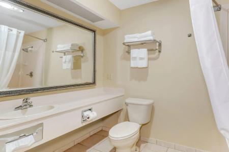 Quality Inn South - 8