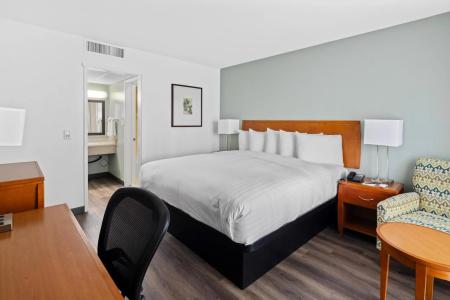 Vagabond Inn - 18
