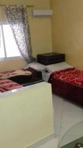 Hôtel Tijani - 83
