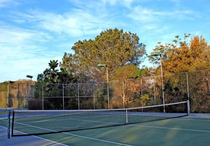 Paradise Point Resort & Spa - 18
