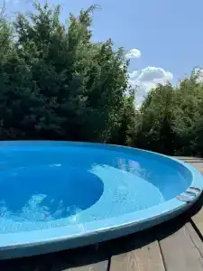 Лес Абрау - 13
