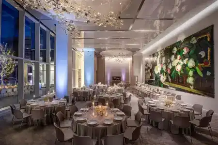 Hall Arts, Dallas, Curio Collection By Hilton - 10