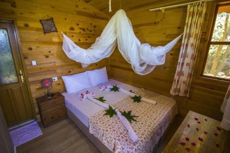 Full Moon Camp - 25