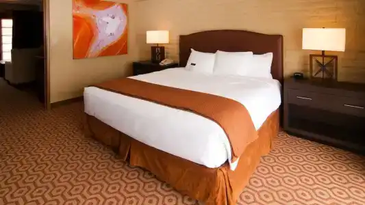 DoubleTree Suites by Hilton Tucson-Williams Center - 57