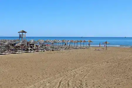Delle More - 22