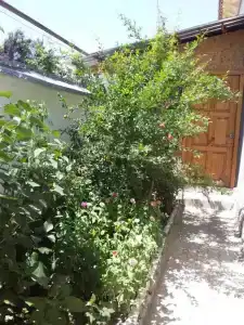 Lovely Home For You - 60