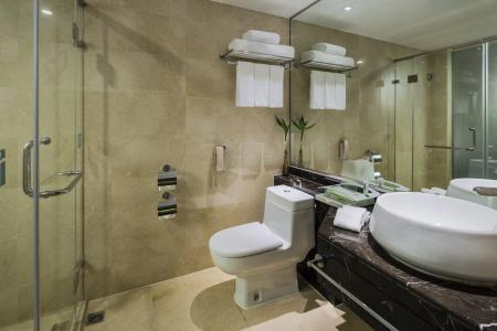 Holiday Inn Nanjing Aqua City, An Ihg - 20