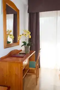 Caballo de Oro - 26