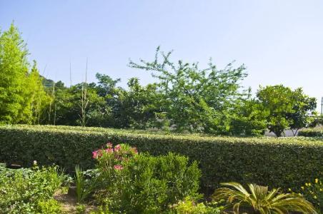 Villa Sarah - 88