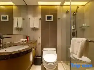 Grand Skylight Catic - 67