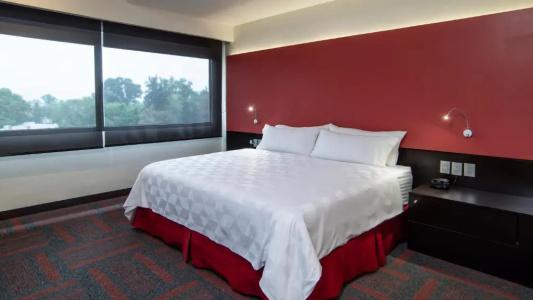 Holiday Inn Mexico Dali Airport, An Ihg - 57