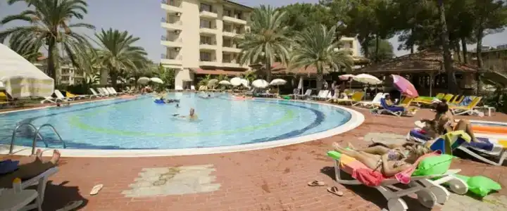 Palm D'or - 23
