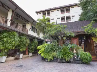 Orchid - 14