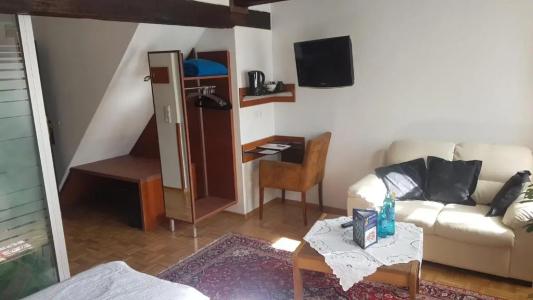 Hotel-Restaurant Goldenes Lamm - 87