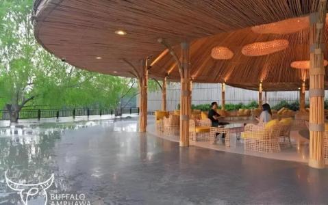 The Buffalo Amphawa - 47