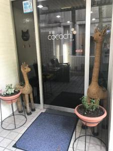 Oyado Cocochi - 10
