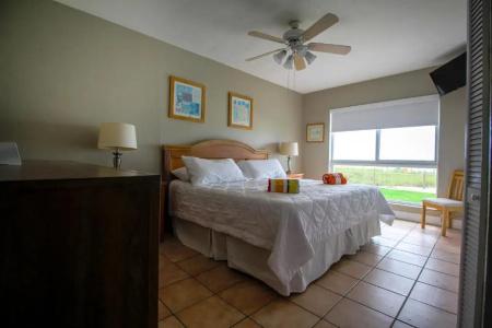 Shore View - 3