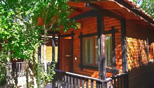 Koala Bungalows - 85