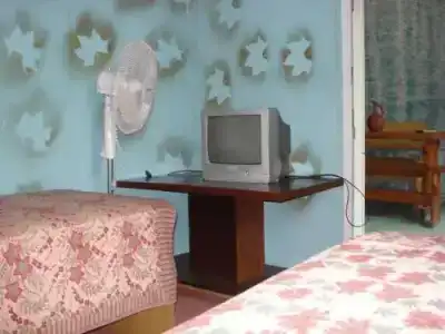 Элона - 3