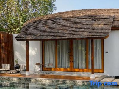 Boribot Pool - 31