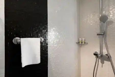 Mercure Vannes Le Port - 40
