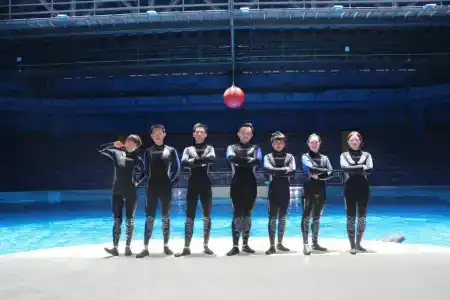 Dali Manju Ocean - 5