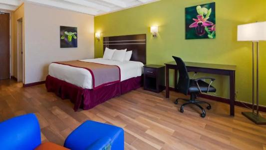 Best Western Orlando West - 30