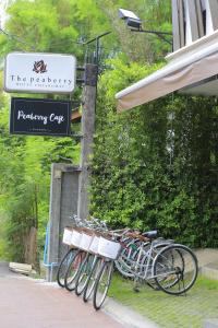 The Peaberry Explorer - 44