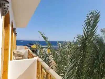 Shams & Dive Centre - 47