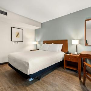 Vagabond Inn - 49