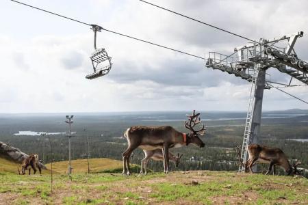 Ski-Innvillage - 19
