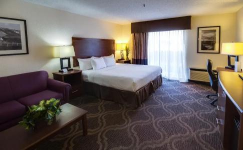 Ashmore Inn and Suites - 5