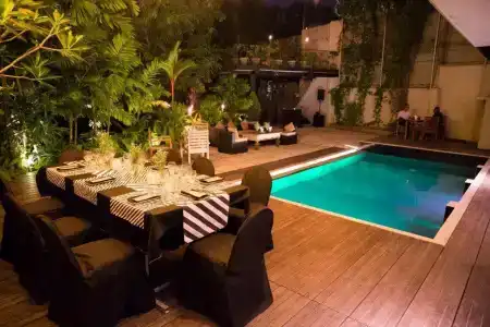 The Mangrove - 12