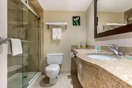 Quality Inn & Suites - 37