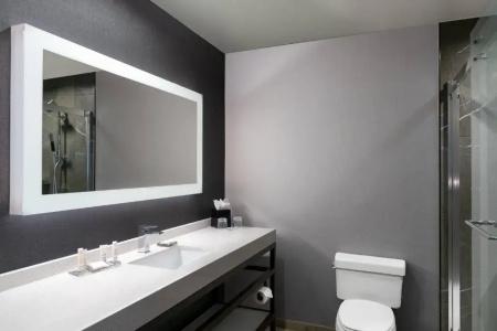 Chicago Marriott At Medical District/Uic - 25