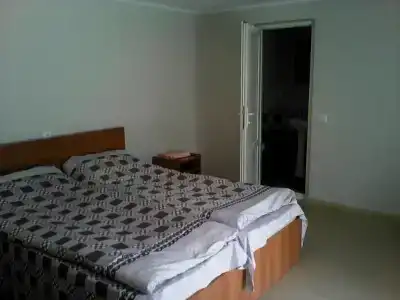 Mount Guest - 19