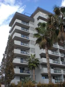 Apartamentos Michel Angelo Benidorm - 0