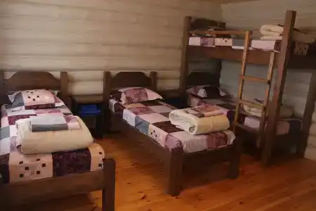 Сосновый бор - 4