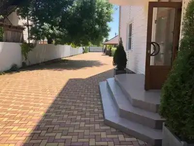Дельфин - 3