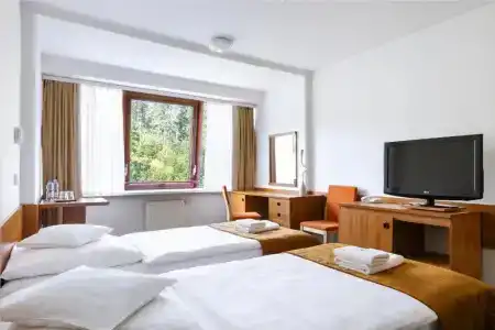 Interferie Sport Bornit - 45