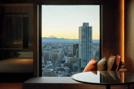 Hyatt Regency Tokyo - 83