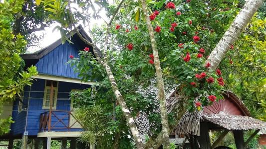 Tree Tops River Huts - 36