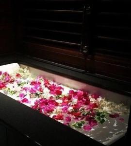 120 Rodionoff Palermo B&B - 21