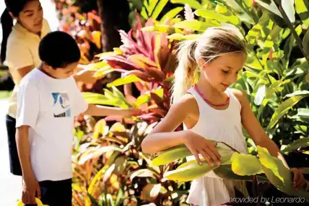 Four Seasons Maui at - 23