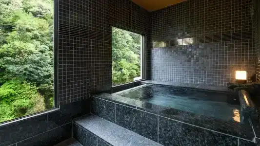 Shirasagiyu Tawaraya - 29