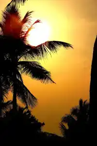 Vgp Golden Beach Resort - 7
