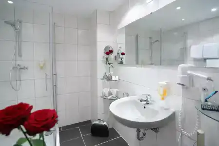 Best Western Rosenau - 9